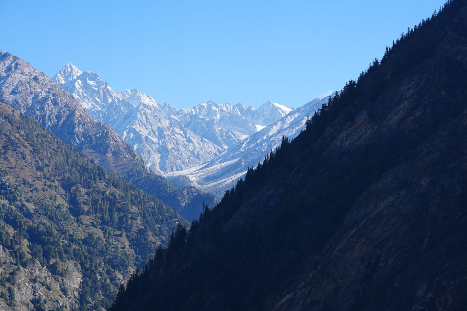 Two forested ridges converging on a narrow valley that opens onto a snowfield at its head.